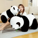 🐼✨ Pelúcia de Panda Super Macia — MIAOOWA ✨🐼